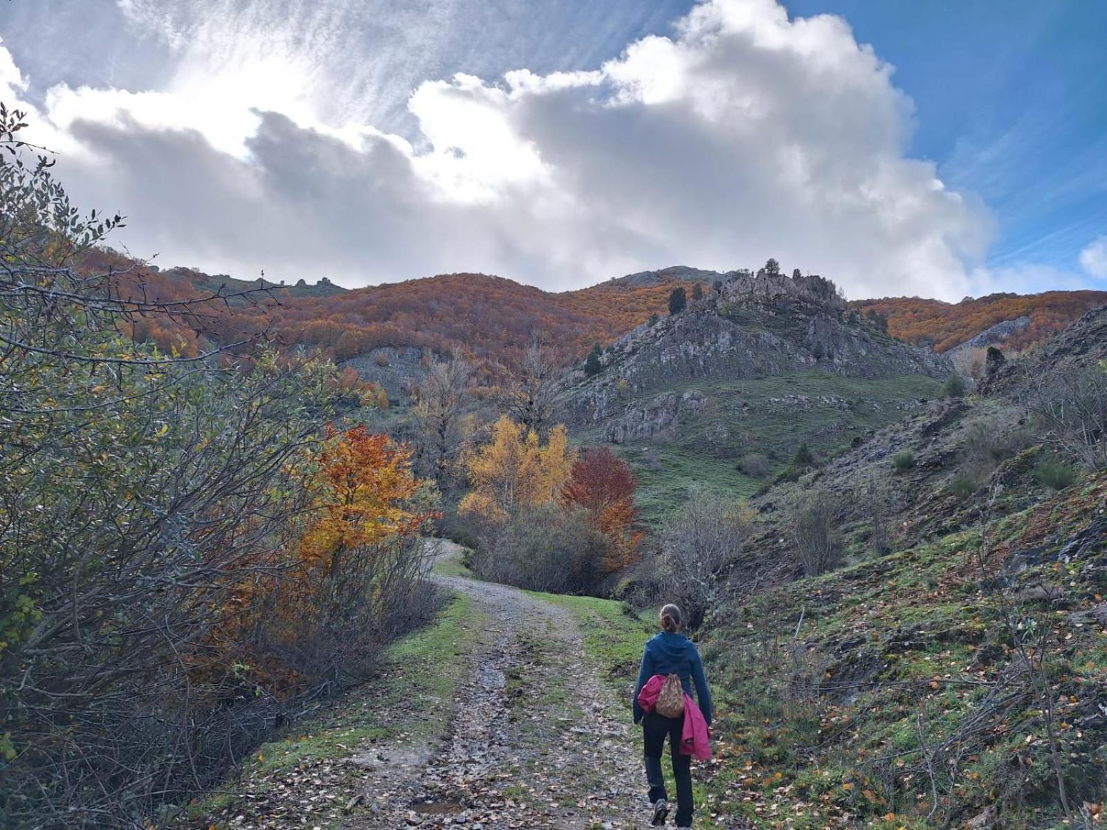 Hotel Rural Valle Del Tuejar Taranilla Екстериор снимка